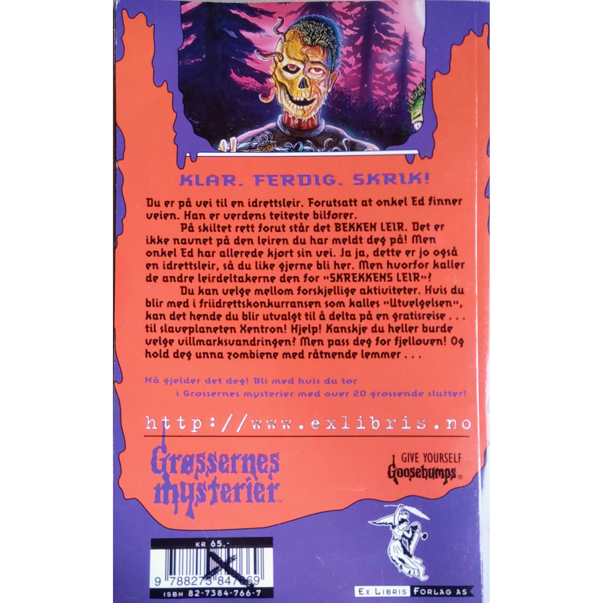 Grøssernes mysterier 19 - Flukten fra Skrekkens leir - Brukte bøker av R.L. Stine