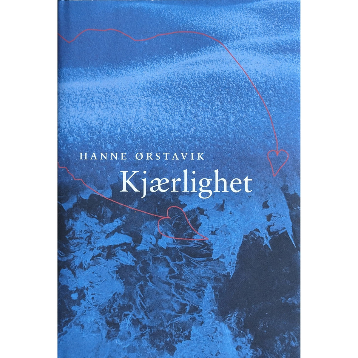 Kjærlighet, brukte bøker av Hanne Ørstavik