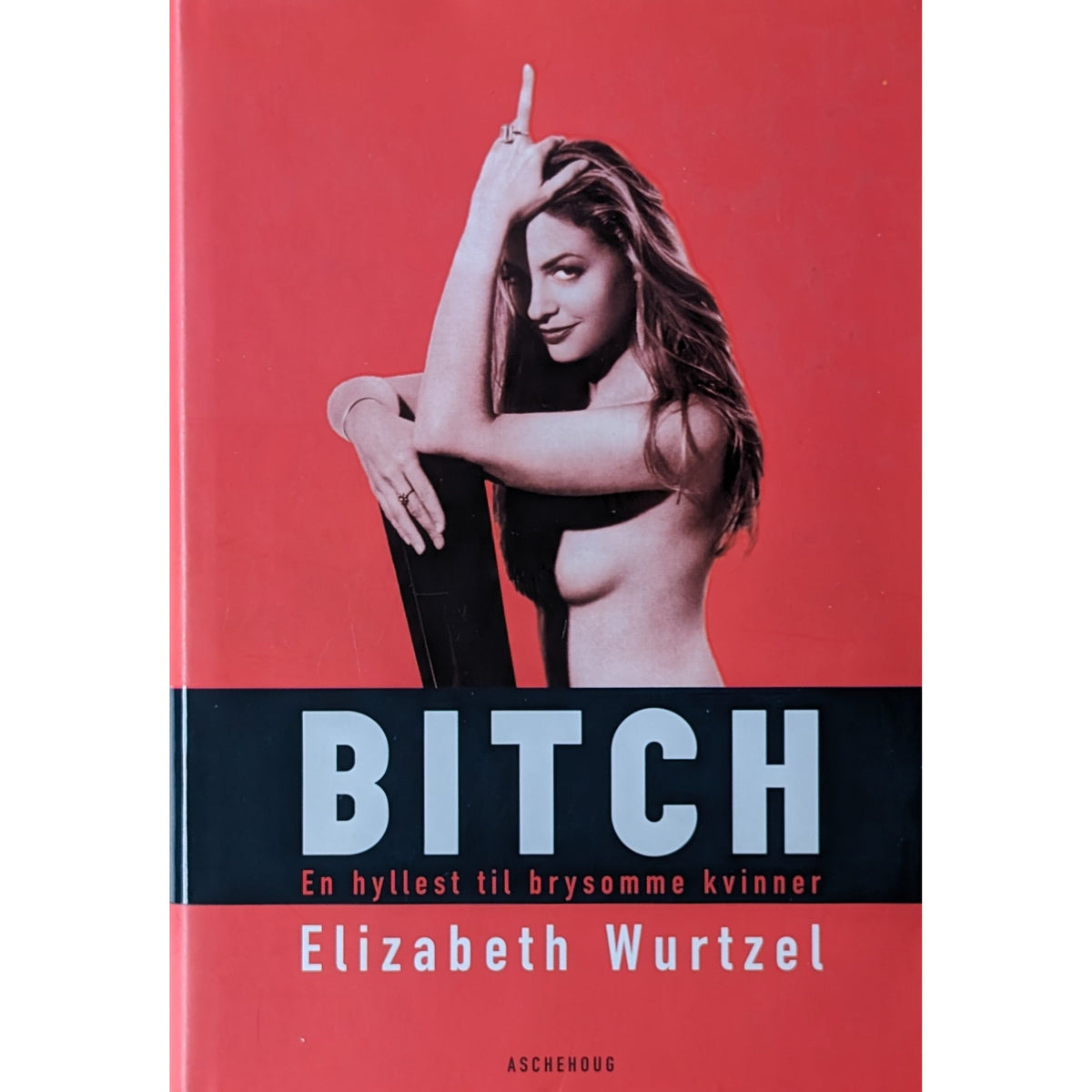 Bitch. En hyllest til brysomme kvinner, brukte bøker av Elizabeth Wurtzel