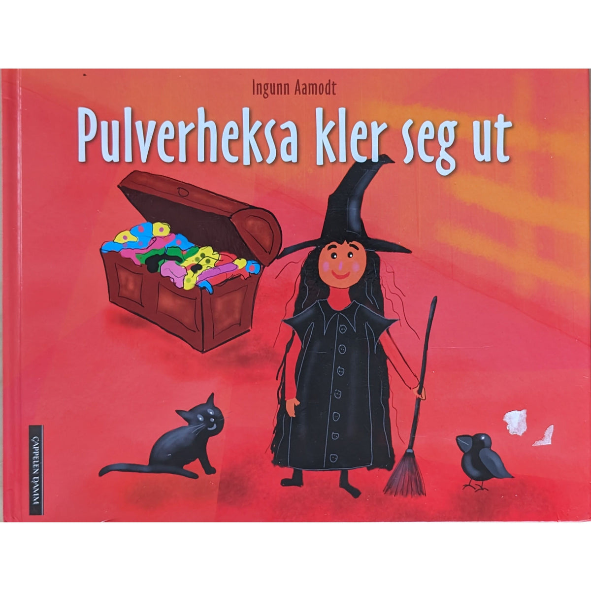 Pulverheksa kler seg ut, brukte bøker av Ingunn Aamodt