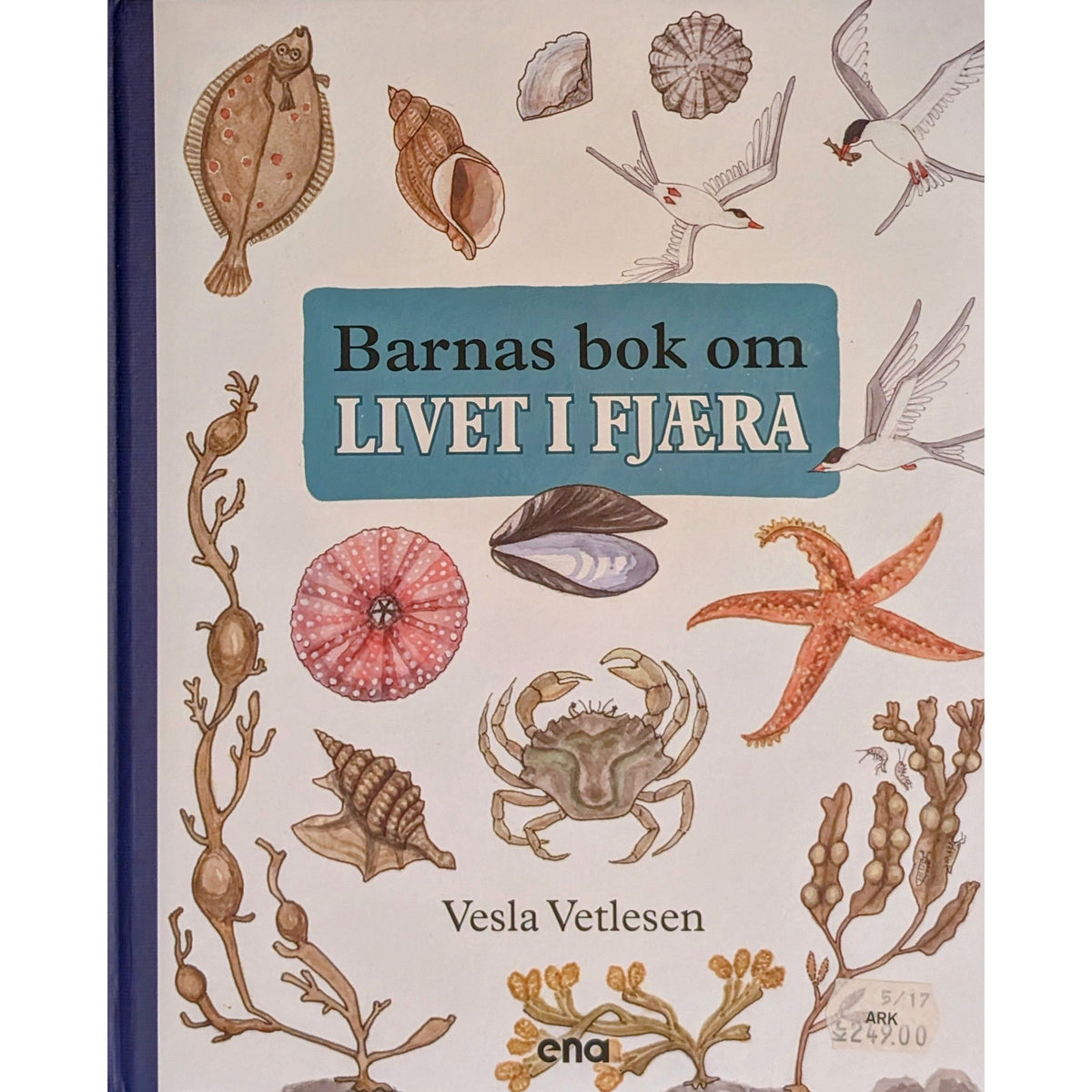 Barnas bok om livet i fjæra, brukte bøker av Vesla Vetlesen