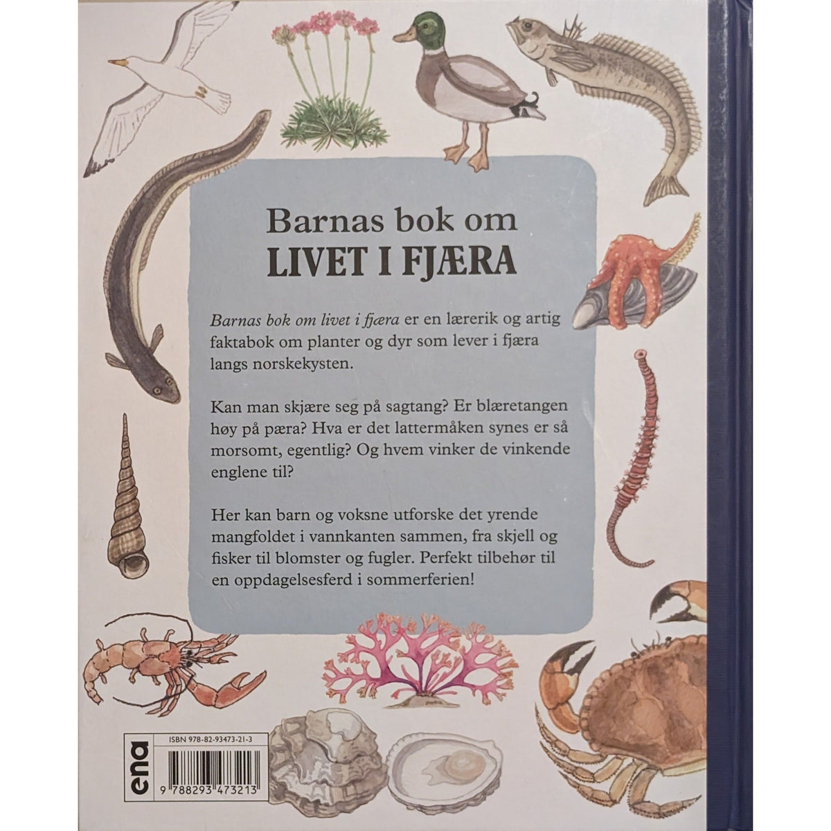 Barnas bok om livet i fjæra, brukte bøker av Vesla Vetlesen