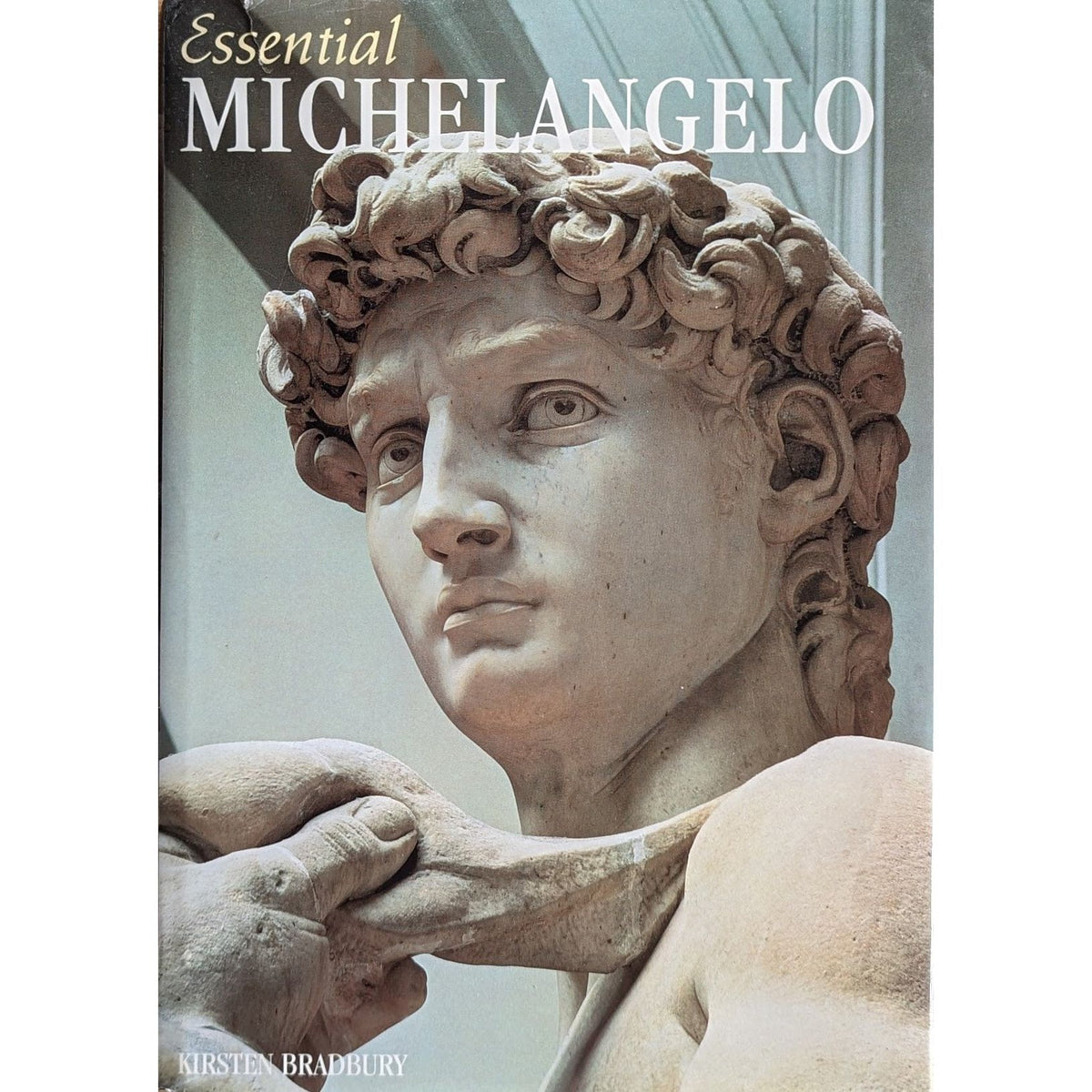 Essential Micelangelo. Brukte bøker av Kirsten Bradbury