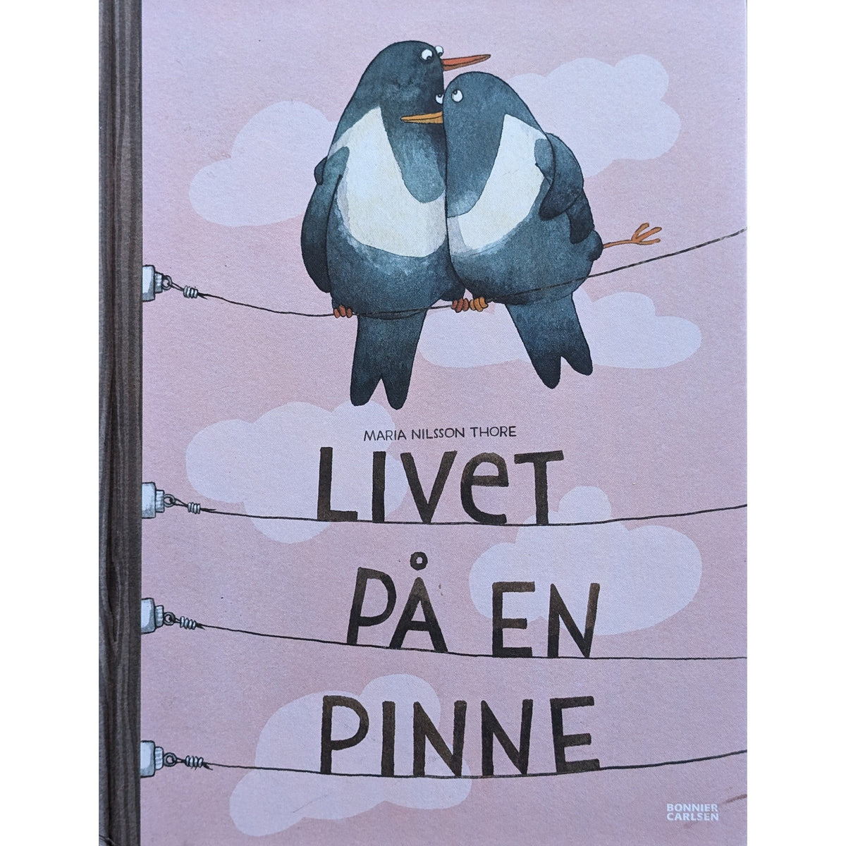 Livet på en pinne, brukte bøker av Maria Nilsson Thore