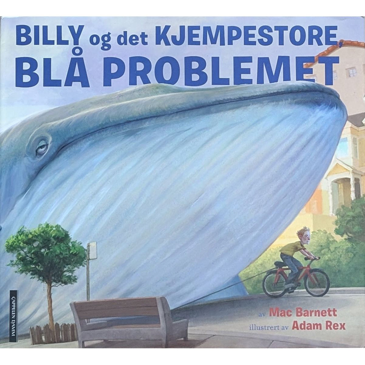 Billy og det kjempestore blå problemet, brukte bøker av Mac Barnett