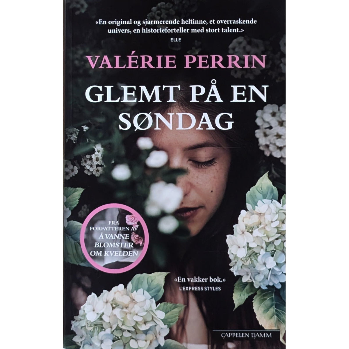 Glemt på en søndag, brukte bøker av Valérie Perrin