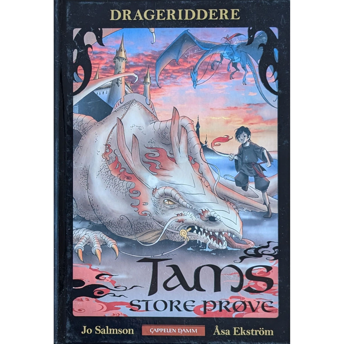 Drageridderne (2) - Tams store prøve, brukte bøker av Jo Salmson