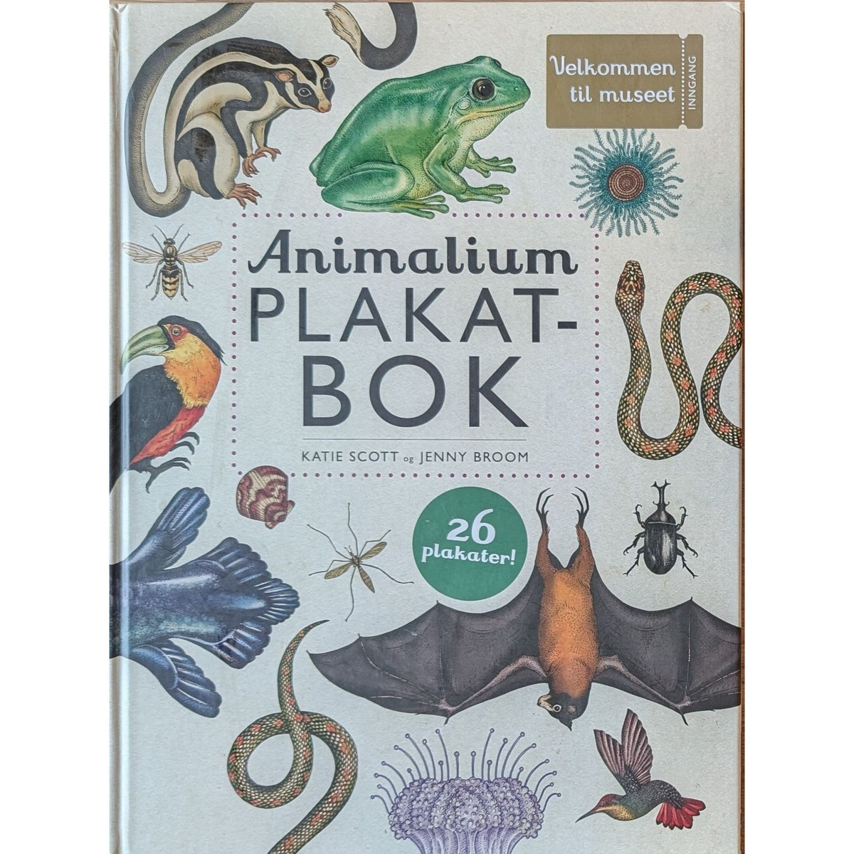 Animalium - Plakatbok, brukte bøker av Katie Scott og Jenny Broom