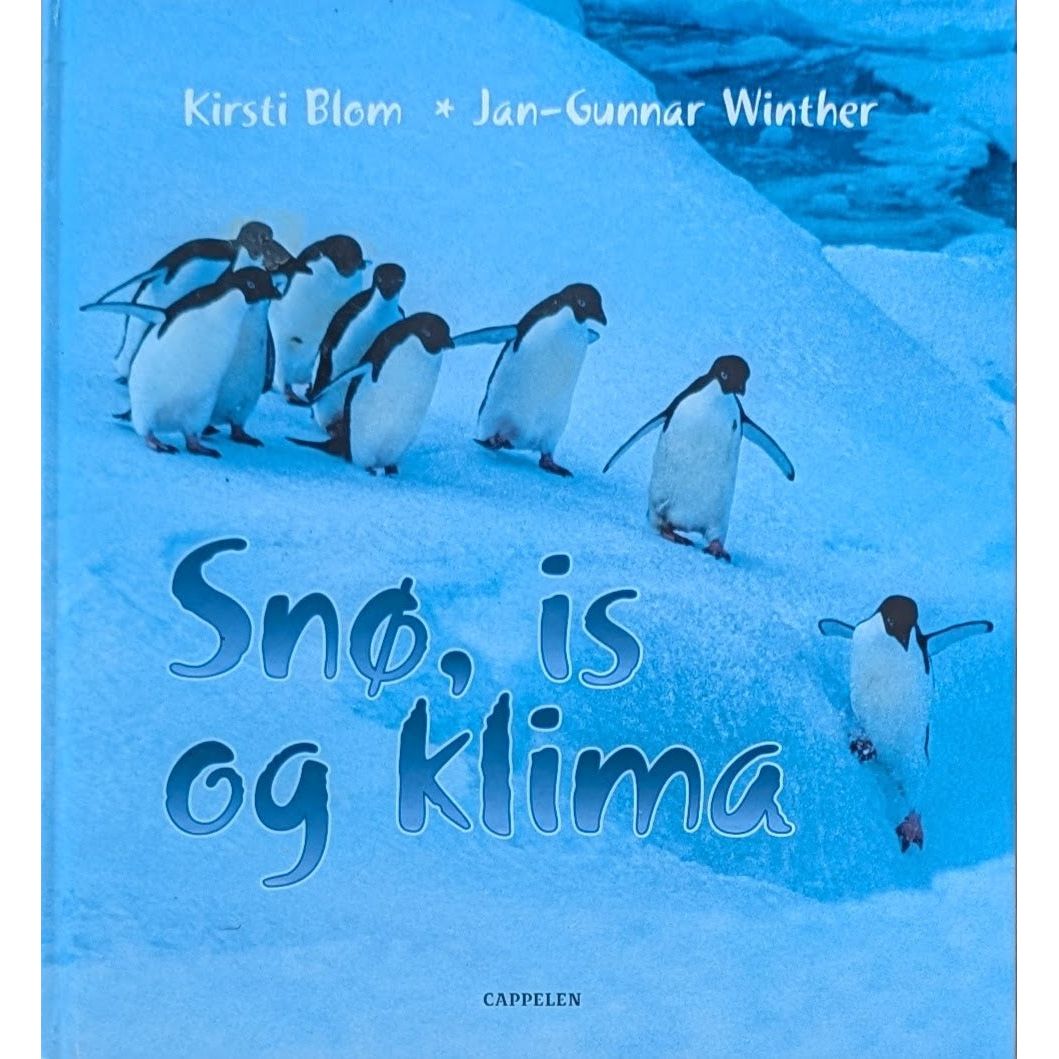 Snø, is og klima, brukte bøker av Kirsti Blom og Jan-Gunnar Winther