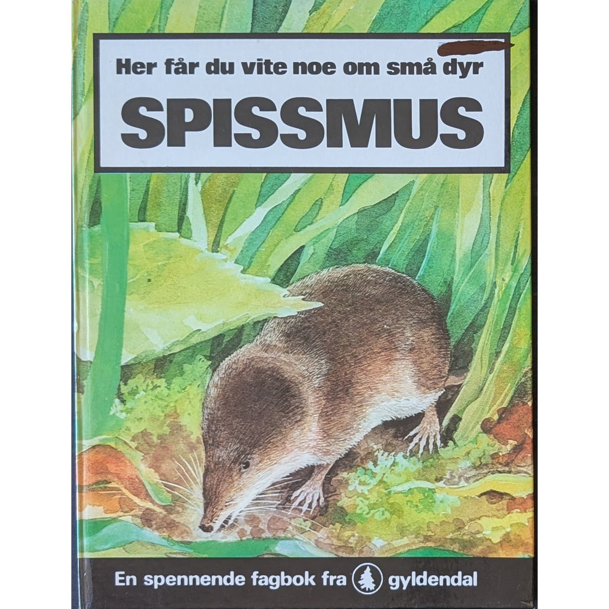 Spissmus, brukte bøker i Her får du vite noe om små dyr serien