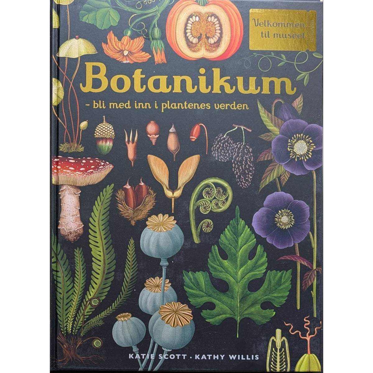 Botanikum, brukte bøker av Katie Scott. Inventaret bokhandel