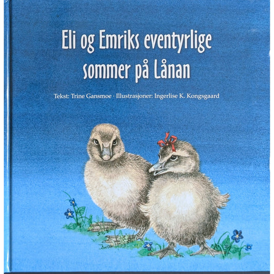Eli og Emriks eventyrlige sommer på Lånan. Brukte bøker av Trine Gansmoe