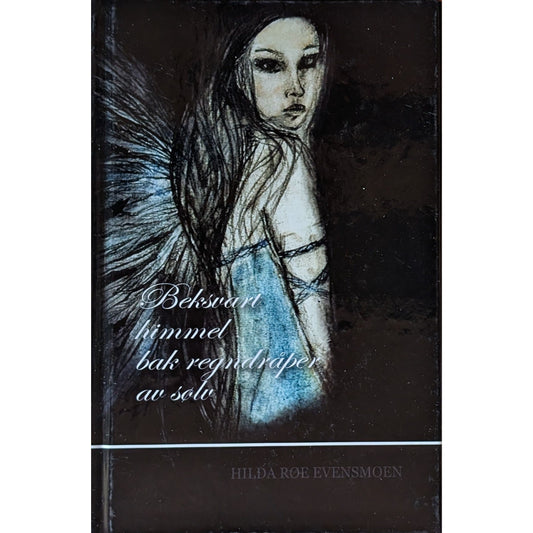 Beksvart himmel bak regndråper av sølv. Brukt bok av Hilda Røe Evensmoen