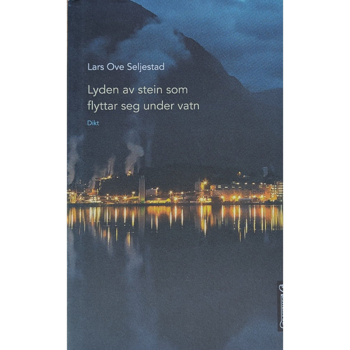 Lyden av stein som flyttar seg under vann.  Brukte bøker av Lars Ove Seljestad