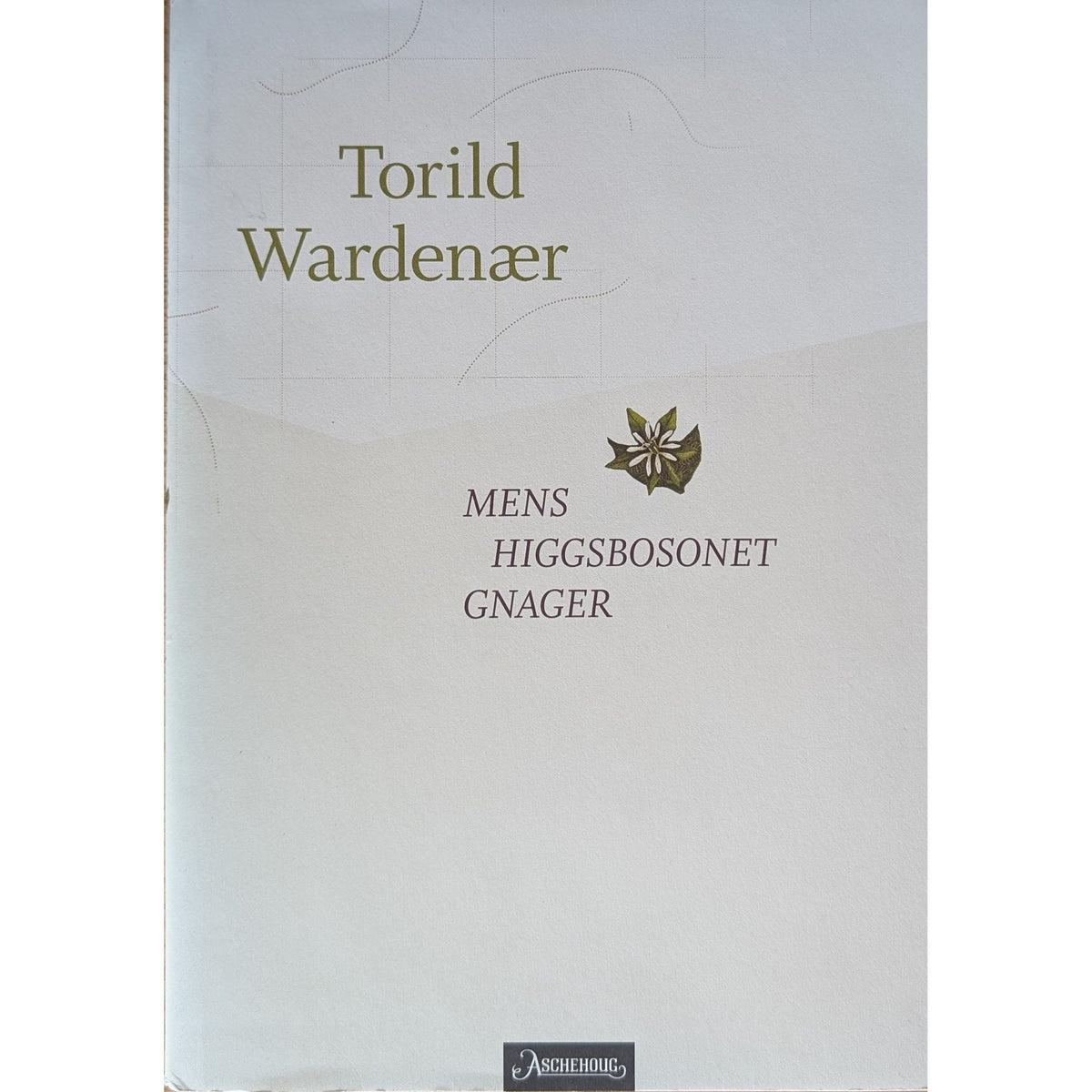 Mens Higgsbosonet gnager. Brukte bøker av Torild Wardenær. Inventaret bokhandel