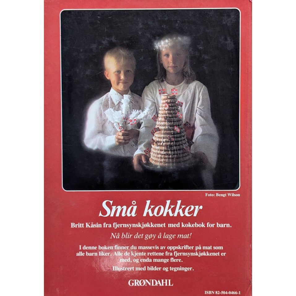 Små kokker. Kokebok for barn. Brukte bøker av Britt Kåsin. Bruktbokhandel