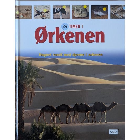 24 timer i ørkenen. Døgnet rundt med dyrene i ørkenen. Brukte faktabøker.