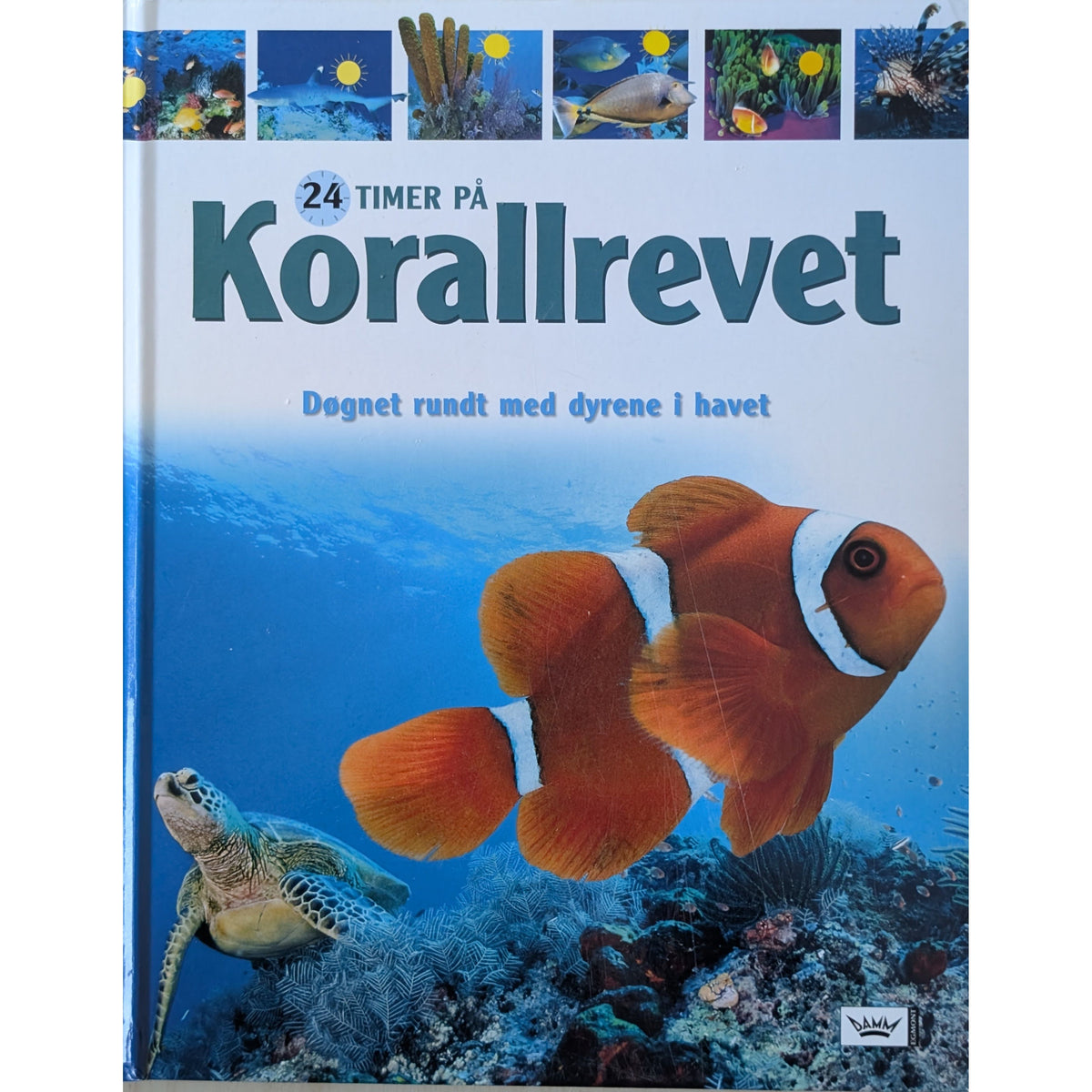 24 timer på korallrevet. Døgnet rundt med dyrene i havet. Brukte faktabøker.