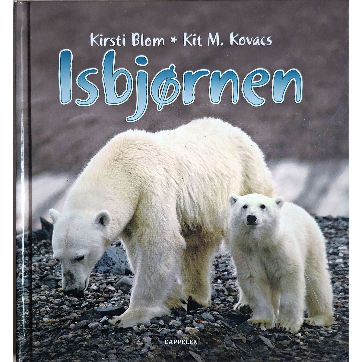 Isbjørnen, brukte bøker av Kirsti Blom
