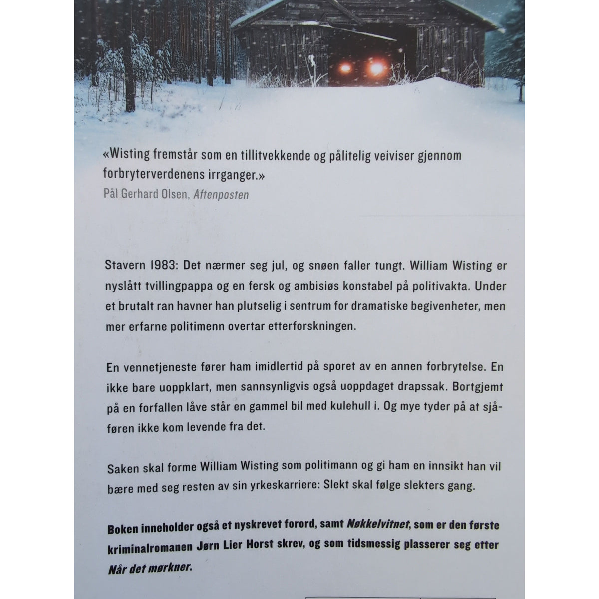 Horst, Jørn Lier: William Wisting 11 - Når det mørkner