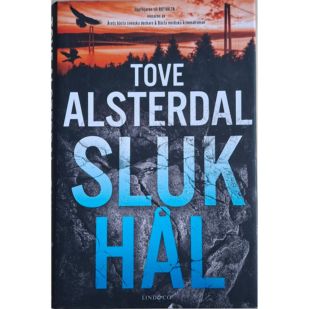 Eira Sjödin 2 - Slukhål, brukte bøker på svensk av Tove Alsterdal