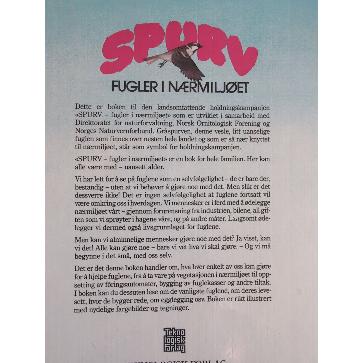 Spurv - fugler i nærmiljøet