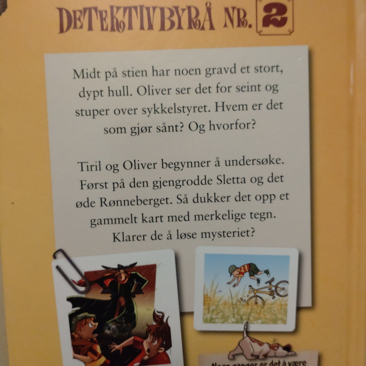Horst, Jørn Lier: Operasjon (2) Mørkemann