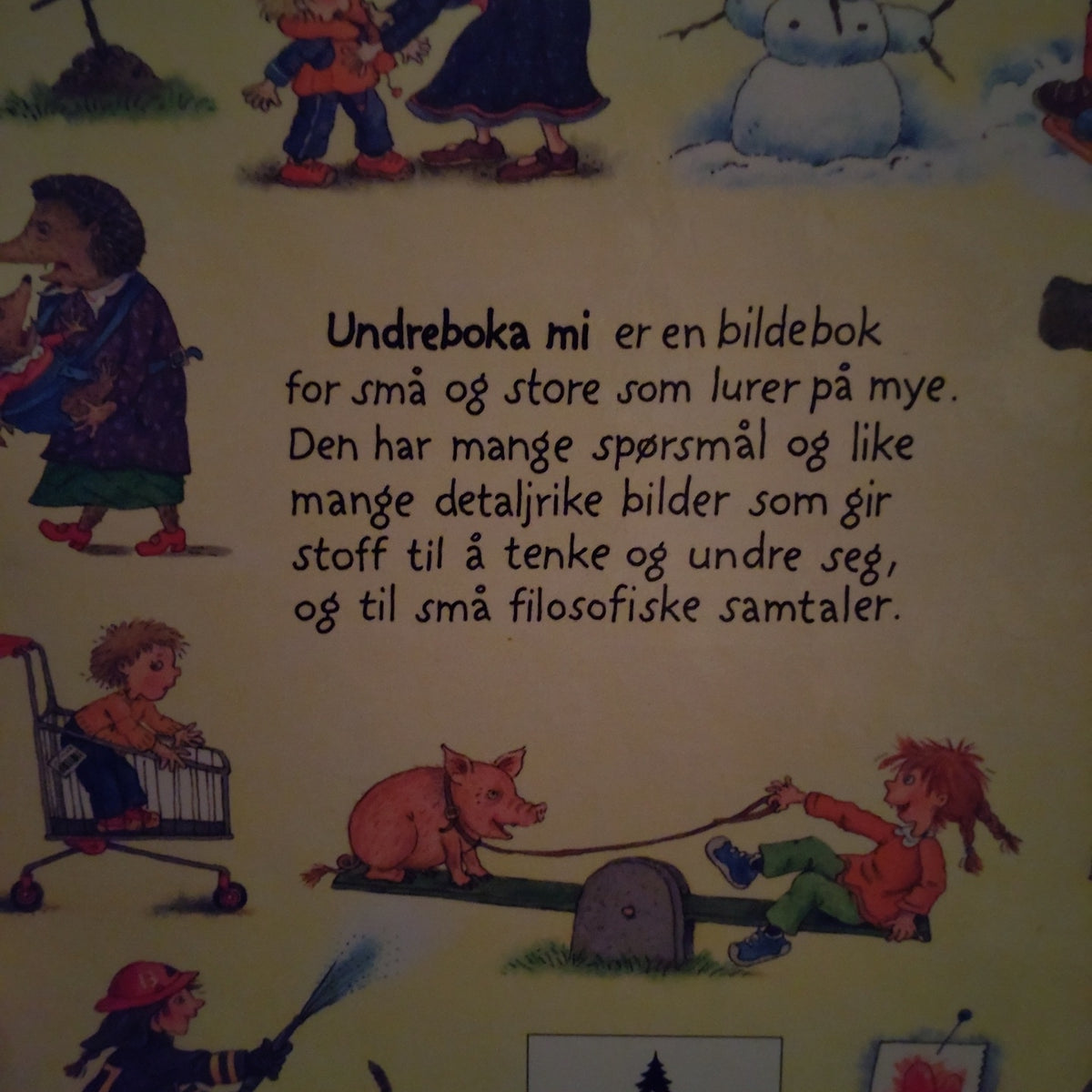Grossmann, Kari: Undre boka mi