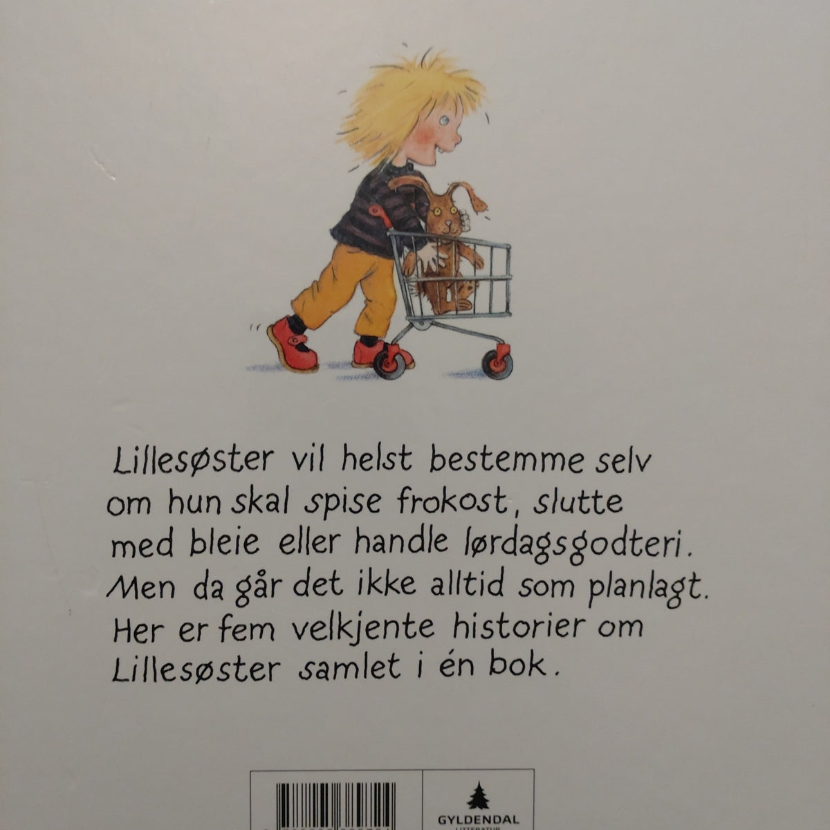 Grossmann, Kari: Den store Lillesøsterboka