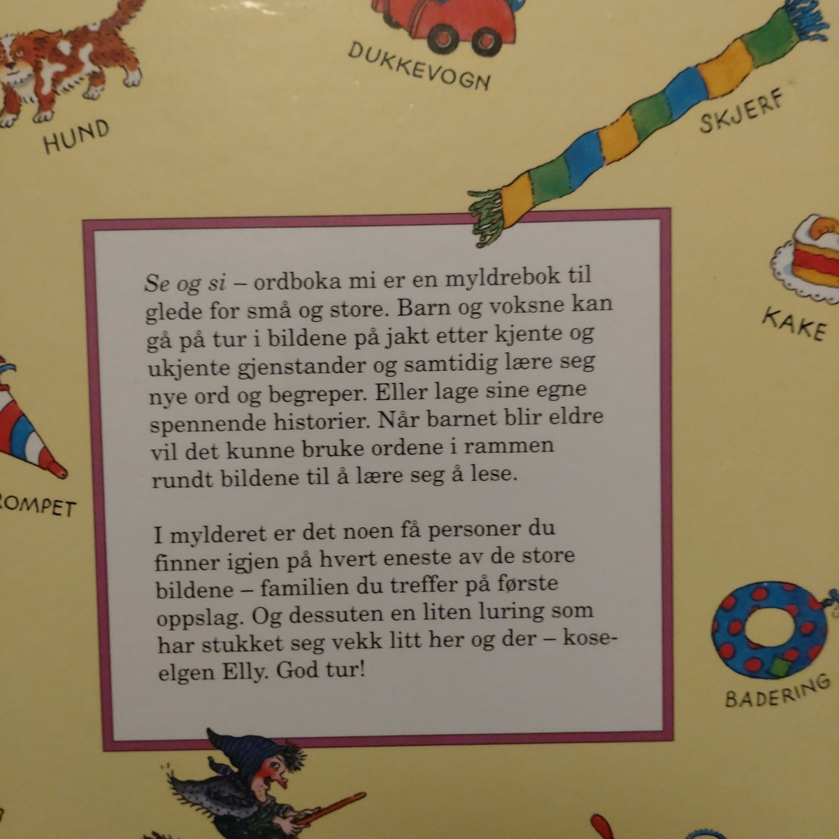 Grossmann, Kari: Se og si - Ordboka mi