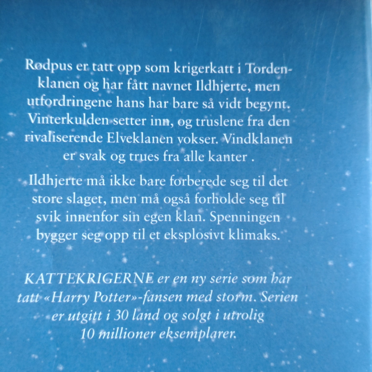 Hunter, Erin: Flammer og is - Kattekrigerne serie 1 - bok 2