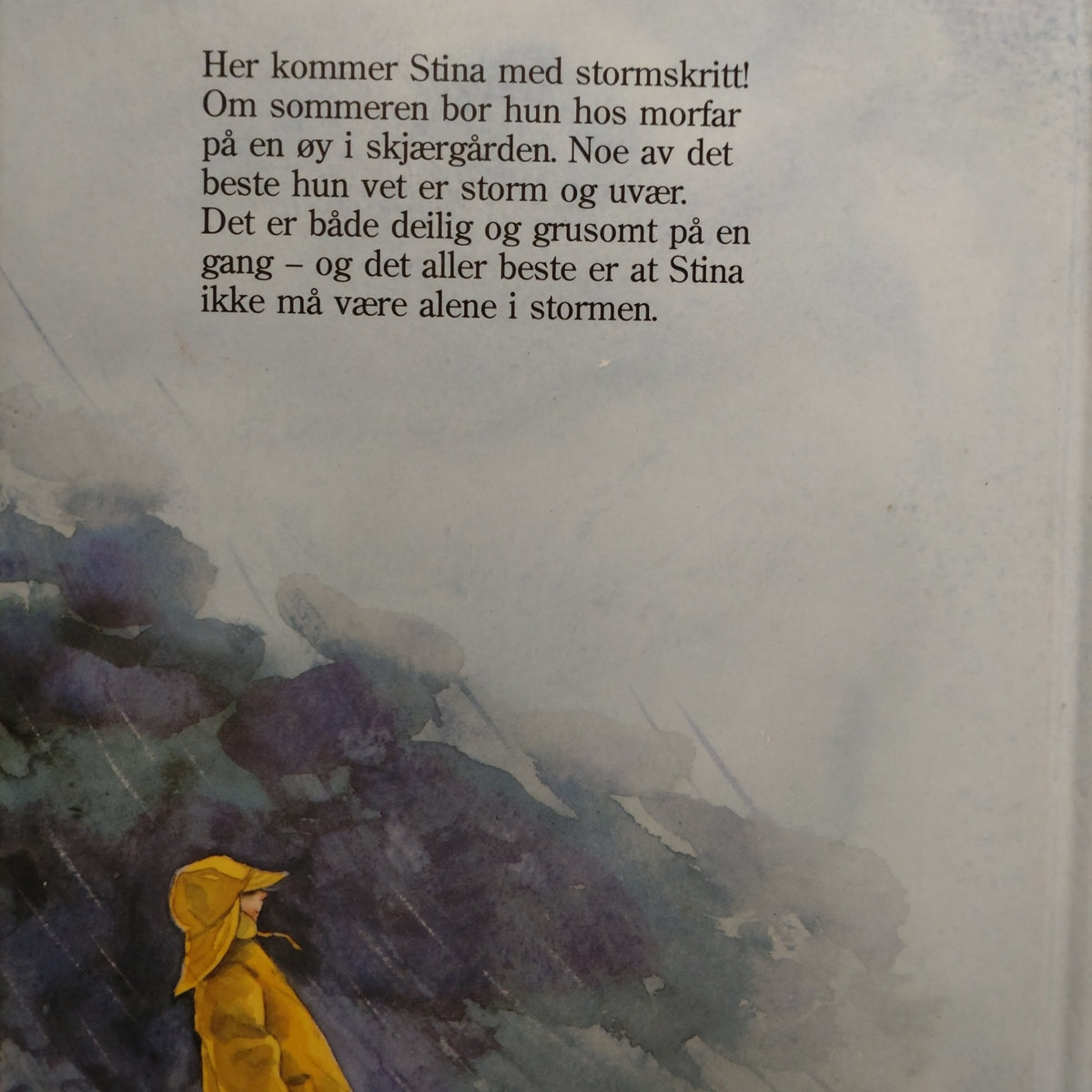 Anderson, Lena: Storm-Stina