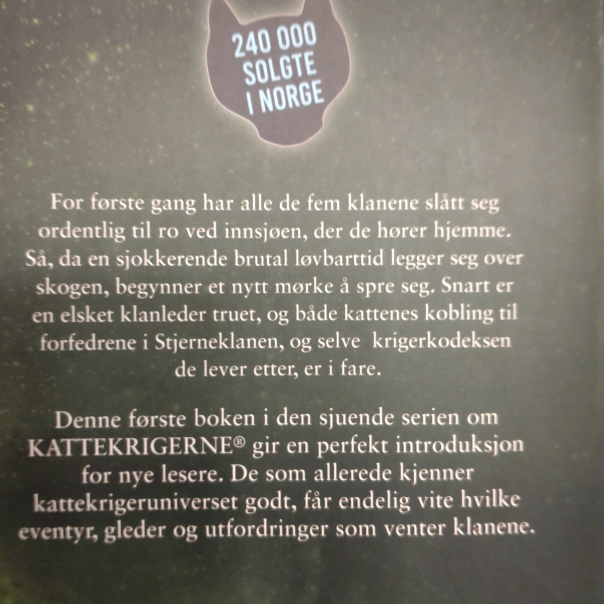Hunter, Erin: Forsvunne stjerner - Kattekrigerne serie 7 - bok 1