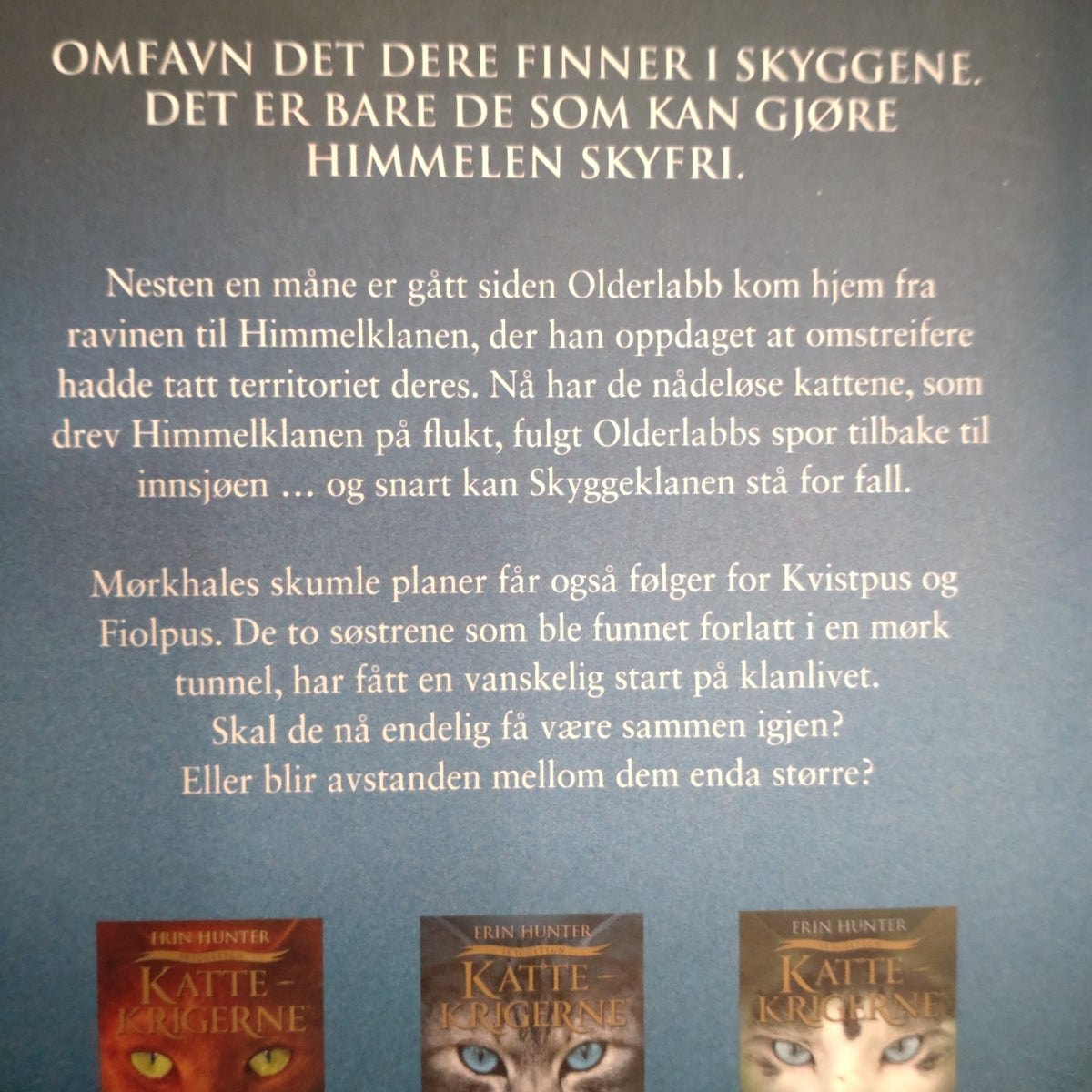 Hunter, Erin: Torden og skygge - Kattekrigerne serie 6 - bok 2