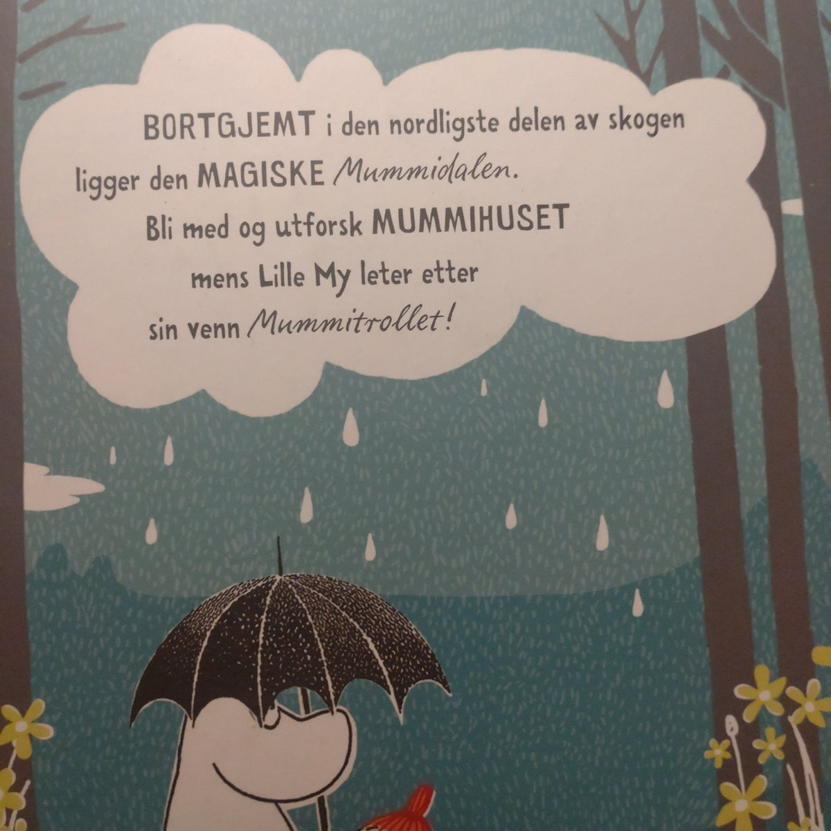 Eventyrerens guide til Mummihuset