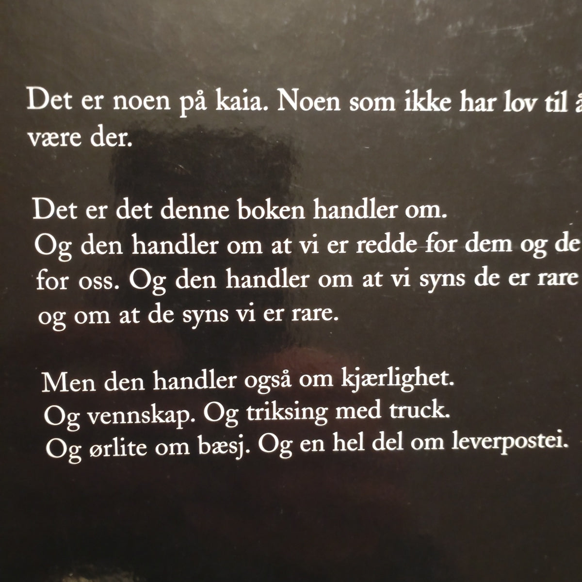 Loe, Erlend: Kurt koker hodet