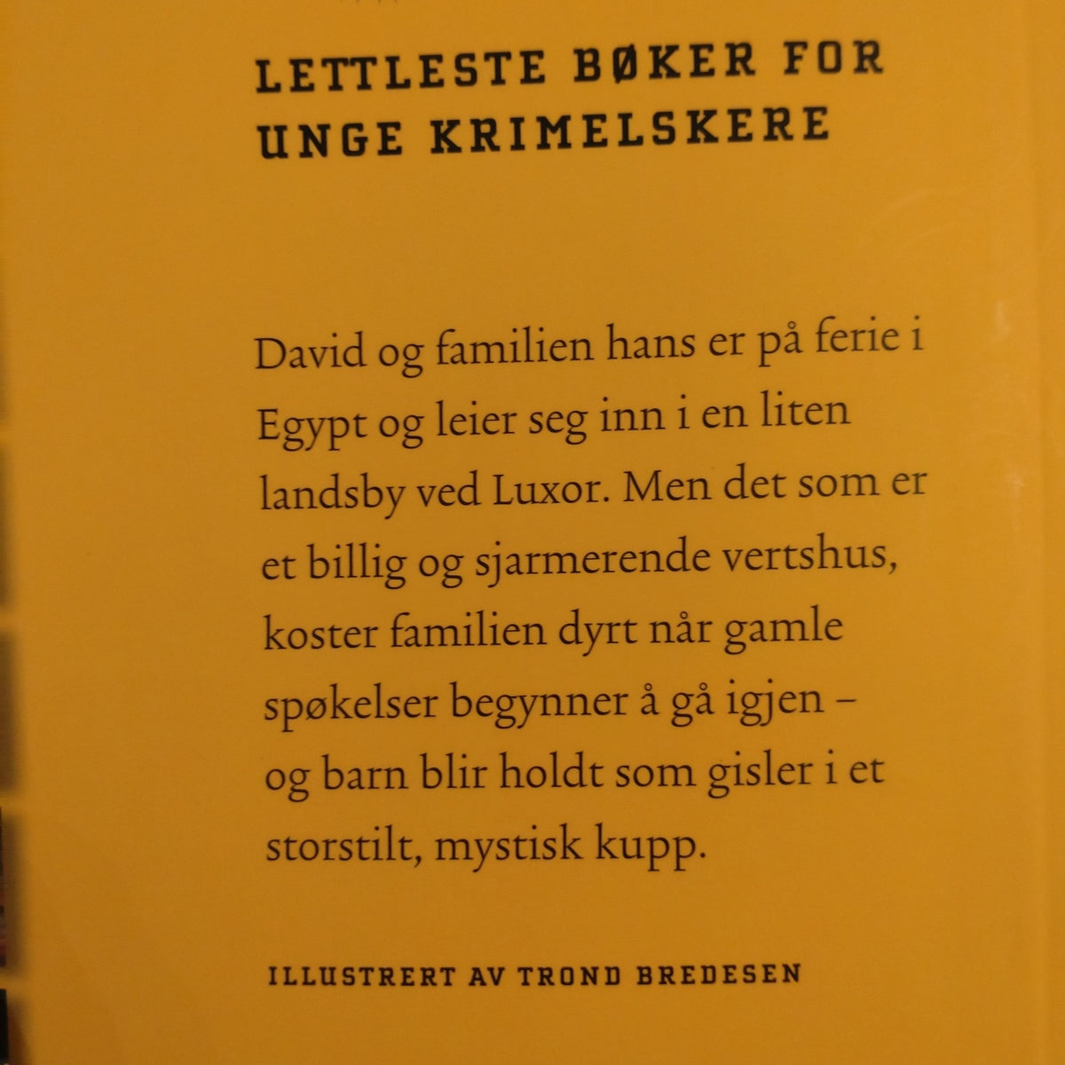Sortland, Bjørn: Kunstdetektivene 2 - Luxor-mysteriet