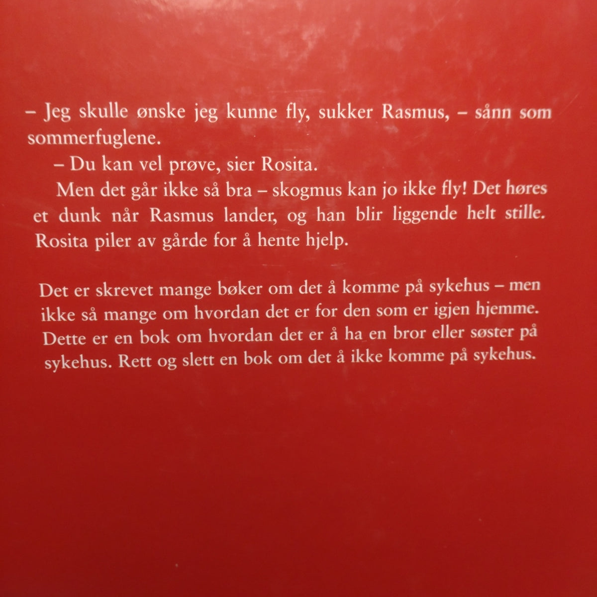 Holmsen, Merete: Mens Rasmus er på sykehus