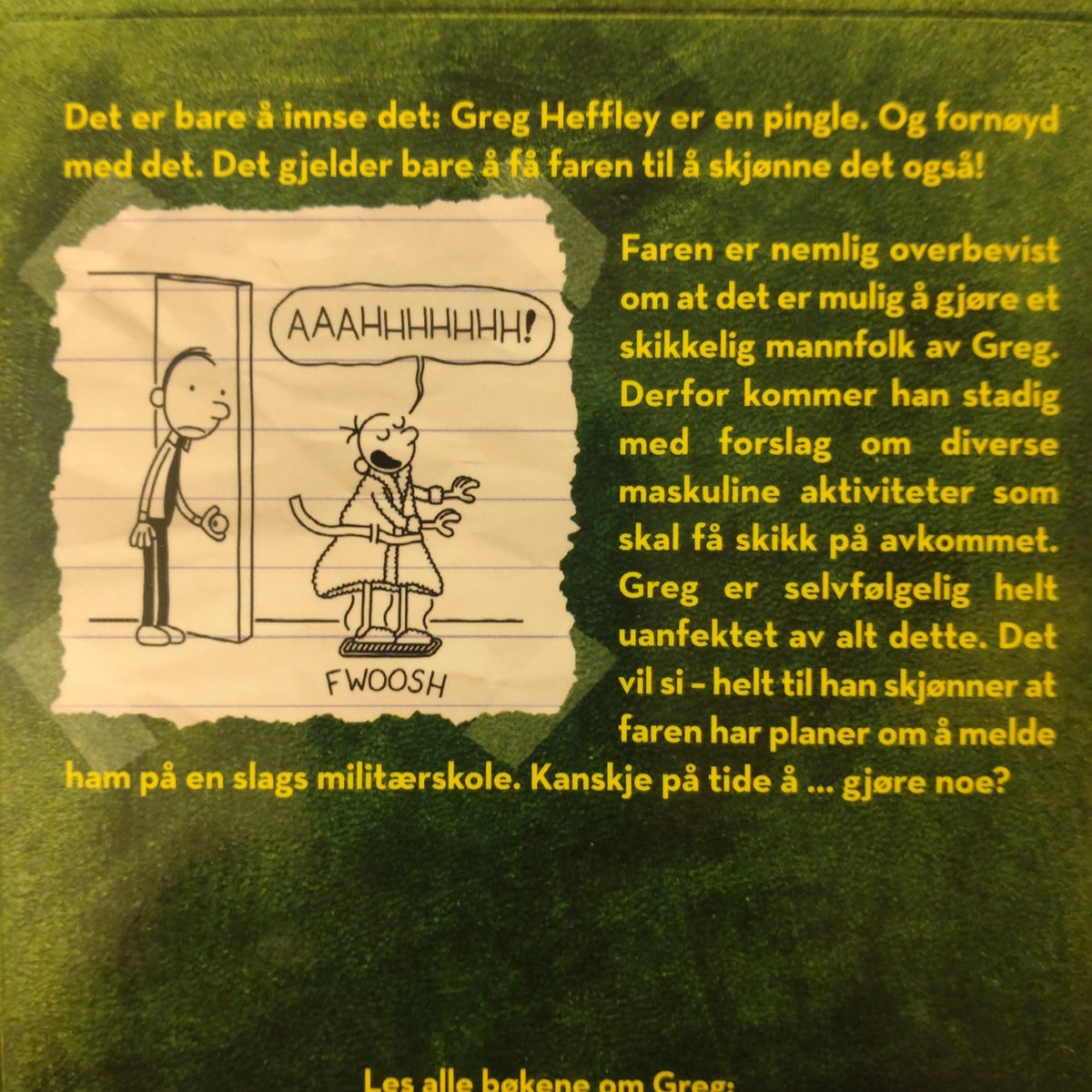 Kinney, Jeff: En pingles dagbok 3 - Siste stikk