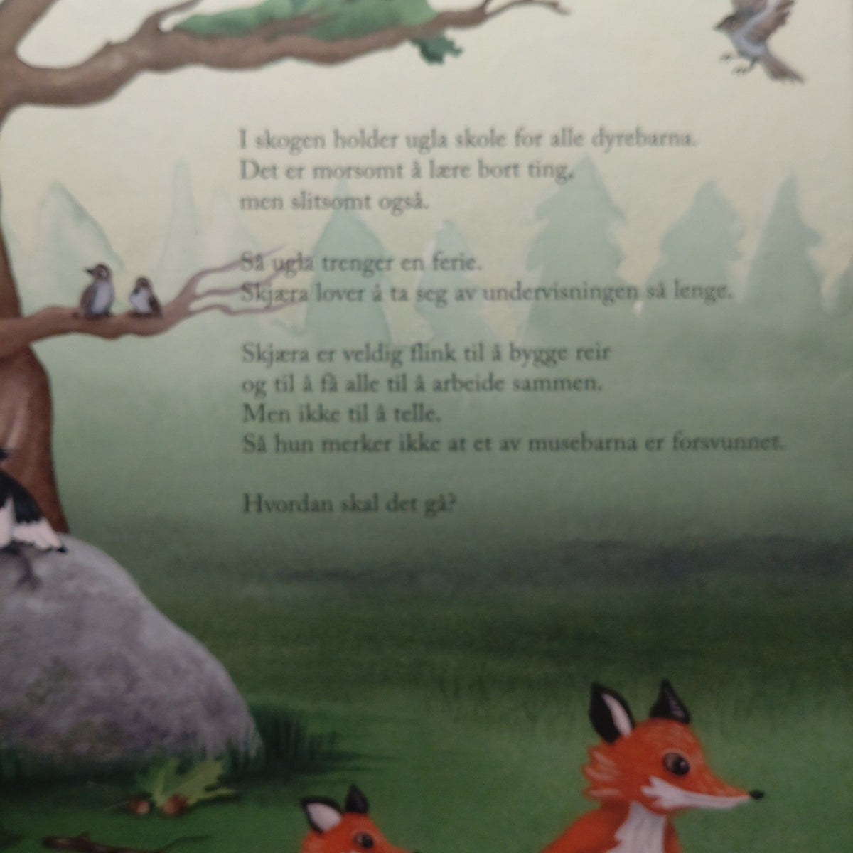 Stark, Ulf: Ugla tar ferie
