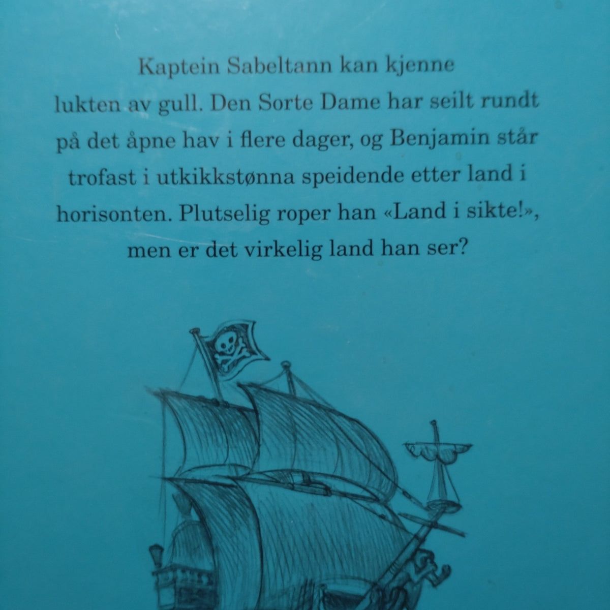 Formoe, Terje: Kaptein Sabeltann - Land i sikte