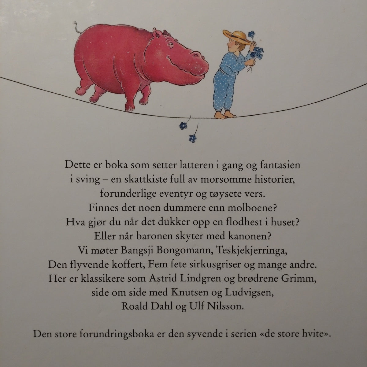 Lande, Anne Kristin: Den store forundringsboka I og II
