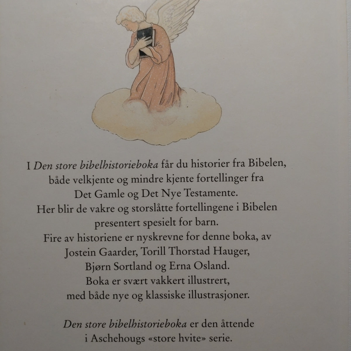 Lande, Anne Kristin: Den store bibelhistorie boka