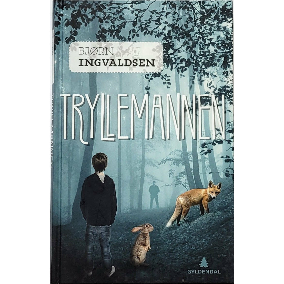 Ingvaldsen, Bjørn: Tryllemannen