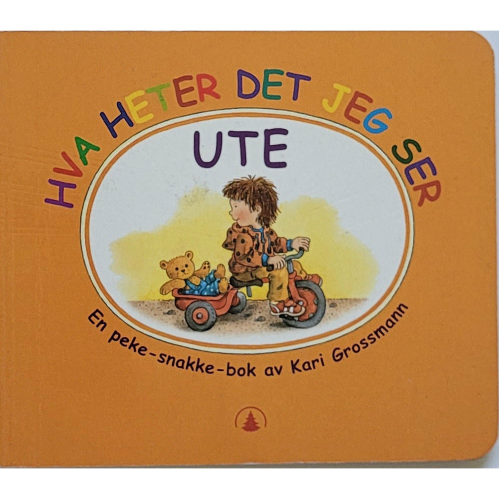 Grossmann, Kari: Hva heter det jeg ser ute