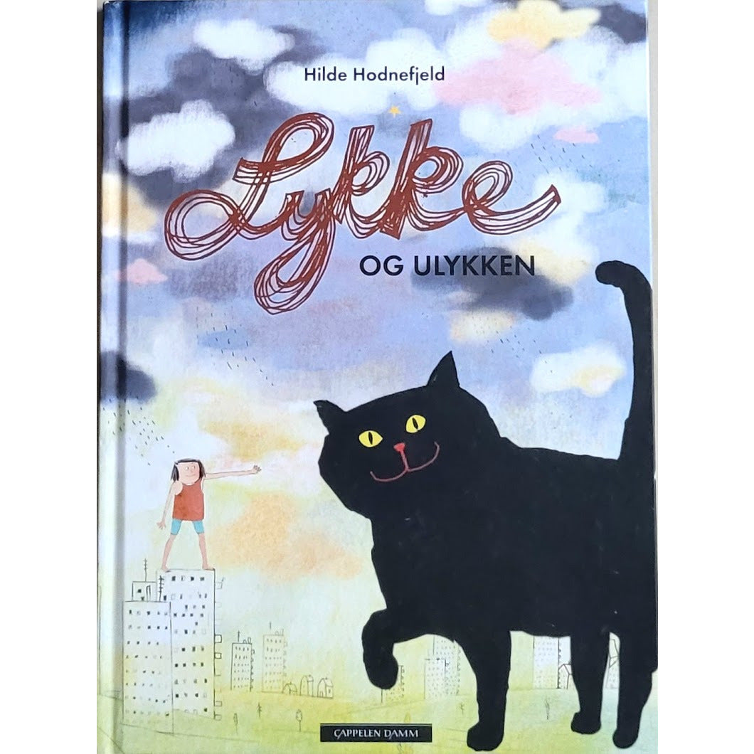 Lykke og ulykken, brukte bøker av Hilde Hodnefjeld