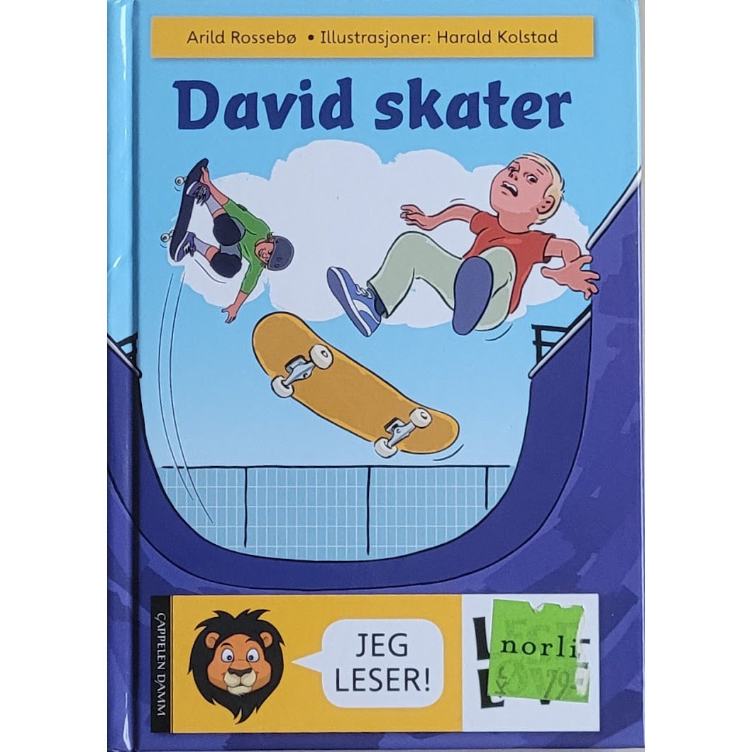 David skater, brukte bøker av Arild Rossebø