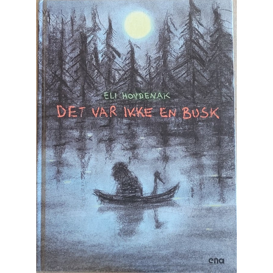 Det var ikke en busk, brukte bøker av Eli Hovdenak