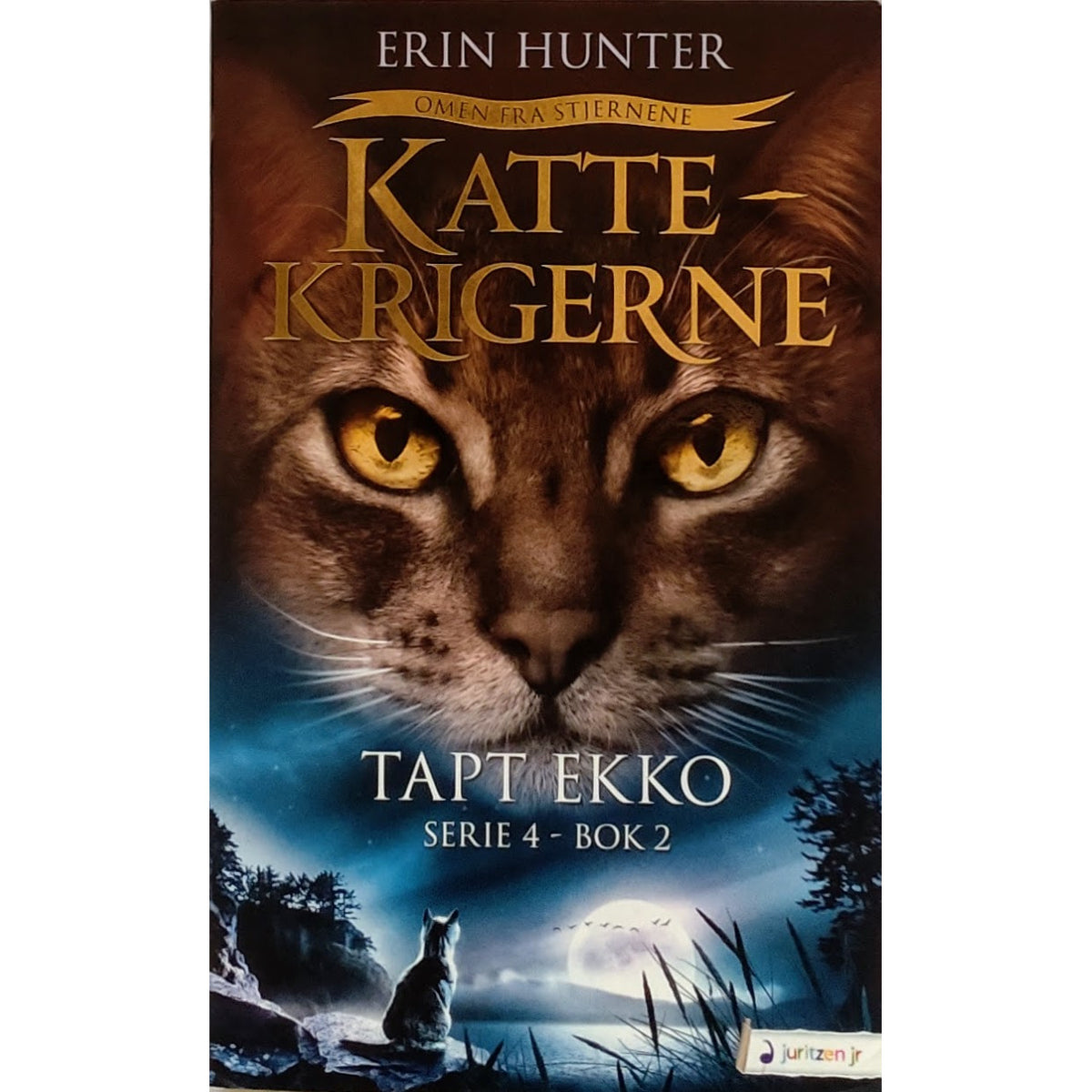Hunter, Erin: Tapt ekko - Kattekrigerne serie 4 - bok 2