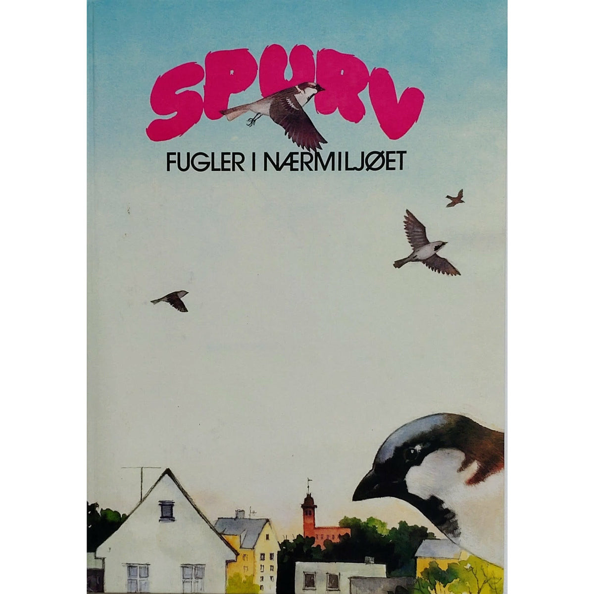 Spurv - fugler i nærmiljøet